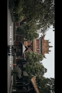 图标