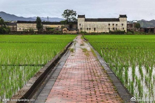 一个村支书对当今农村现状的忧虑 写的非常露骨 知乎