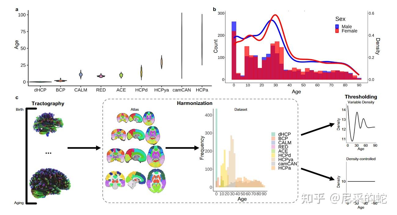 科学家识别出人类大脑发育的五个不同阶段Scientists Identify Five Distinct Eras of Human ...