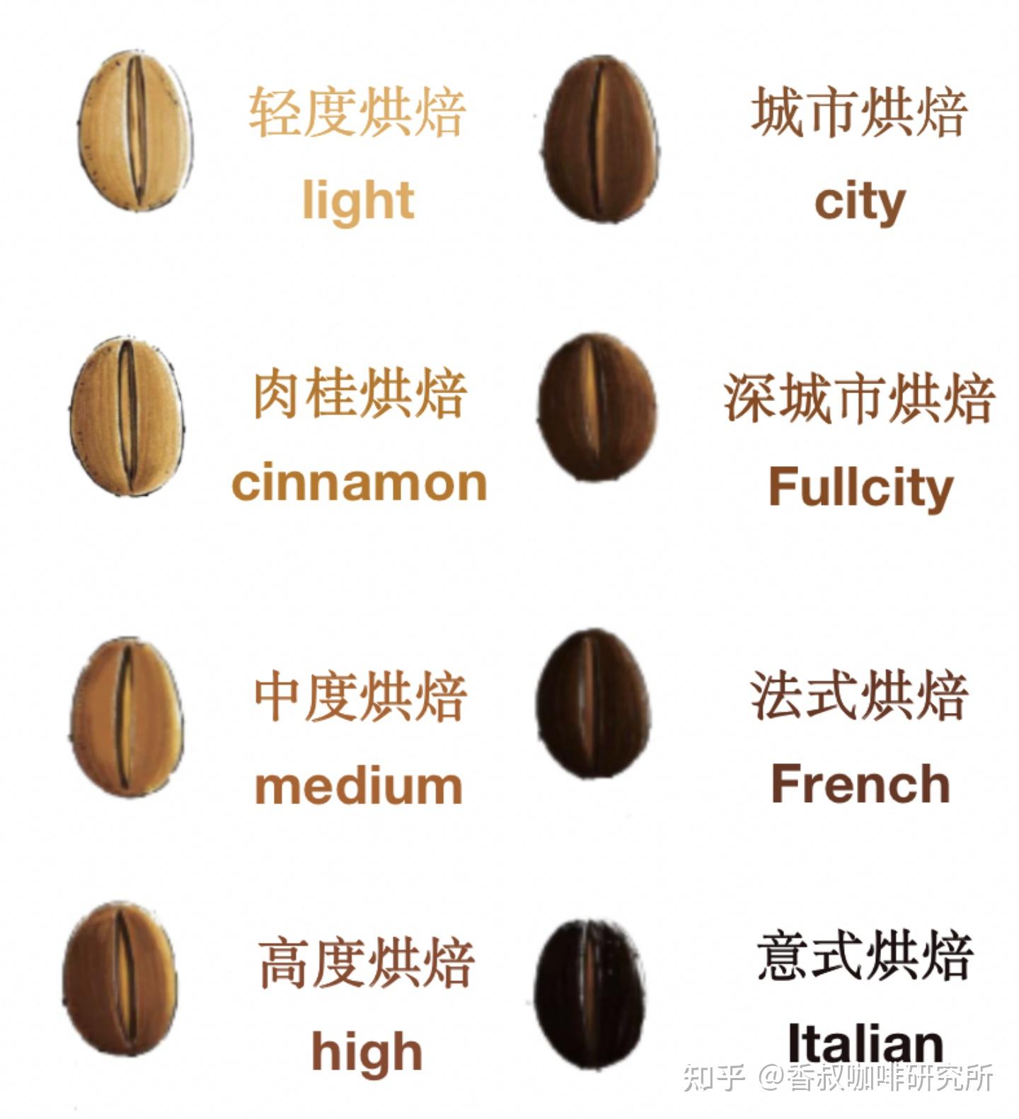 咖啡豆的种类及口味图片