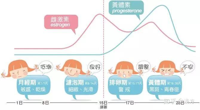 身體各類激素的波動呈週期性變化更明顯