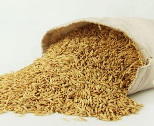 酿酒技术8个步骤教你学会谷酒的酿造方法