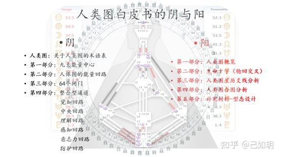 人类图小白入门攻略003丨人类图白皮书的结构