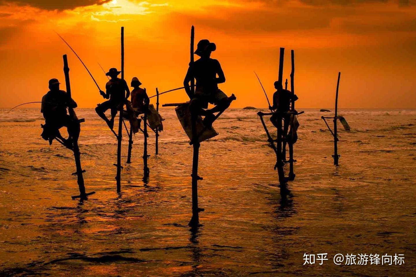 斯里兰卡旅游须知- 知乎