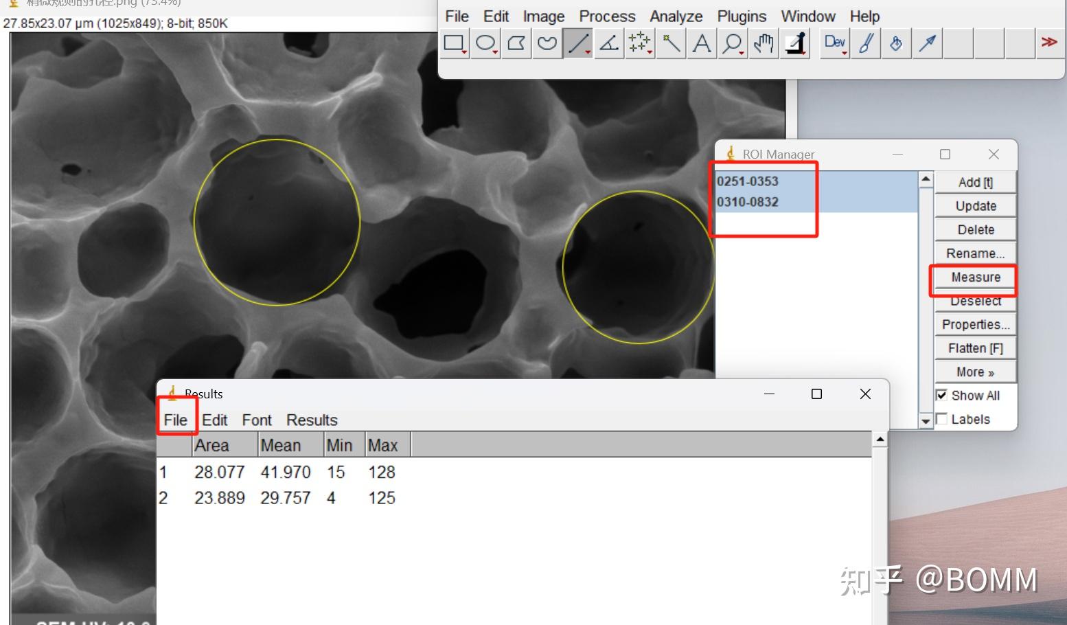 Imagej 
