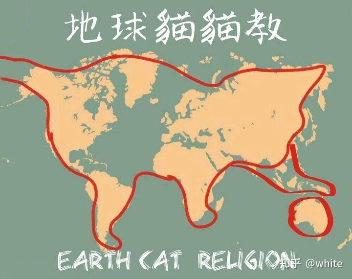 地球猫猫教原图图片图片