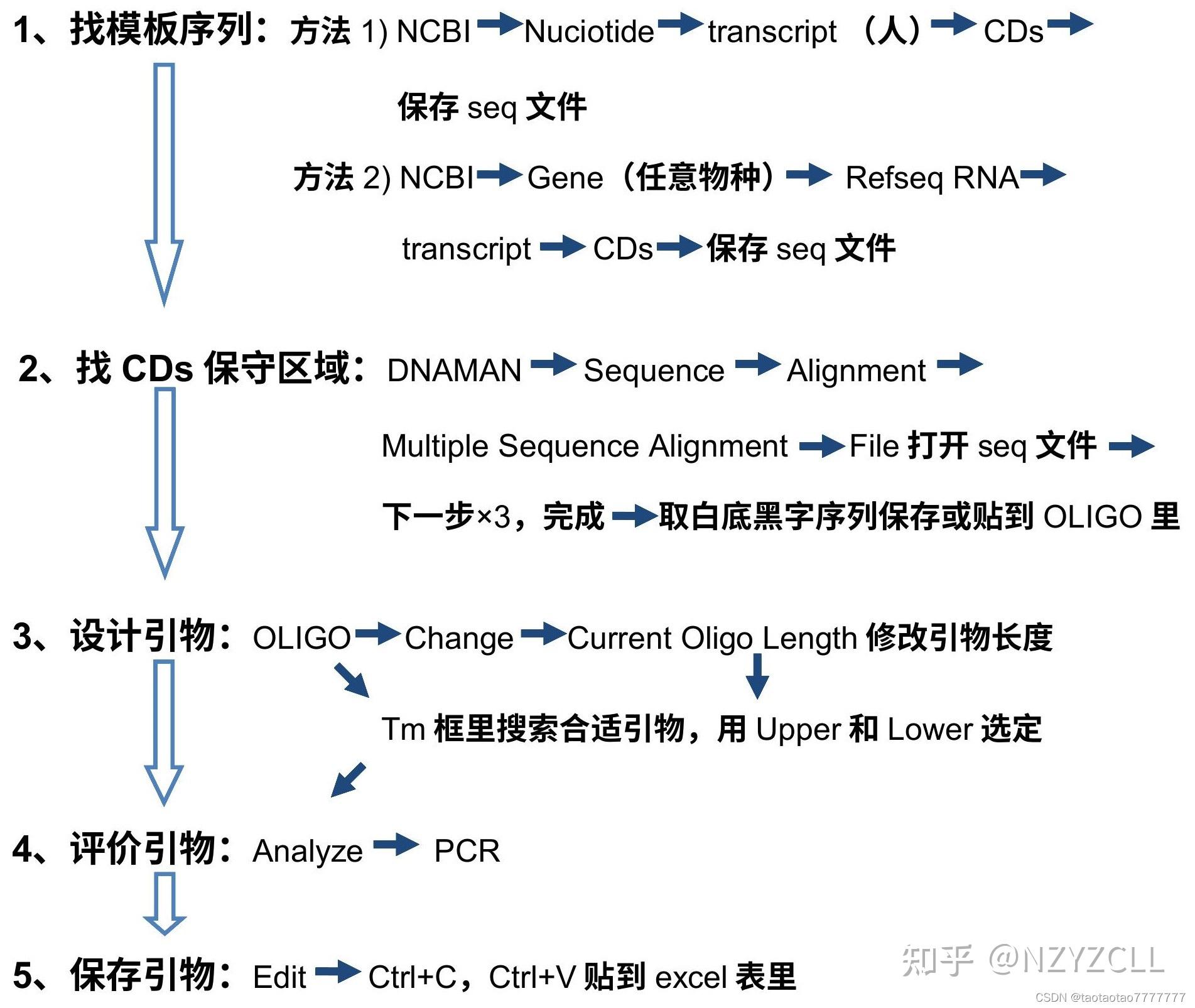 RNA 抽提 + 反转录PCR + PCR引物设计 + RT-qPCR - 知乎