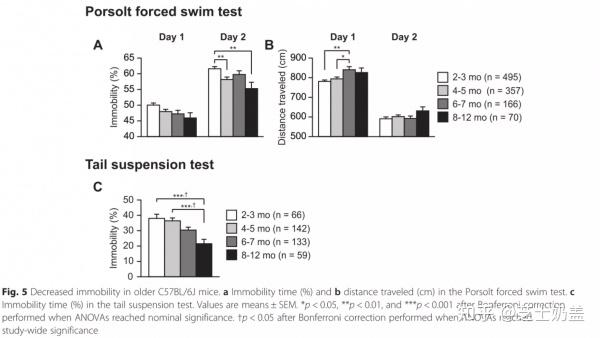 C57老龄鼠/老年鼠·一文带你了解老龄鼠通用知识 - 知乎