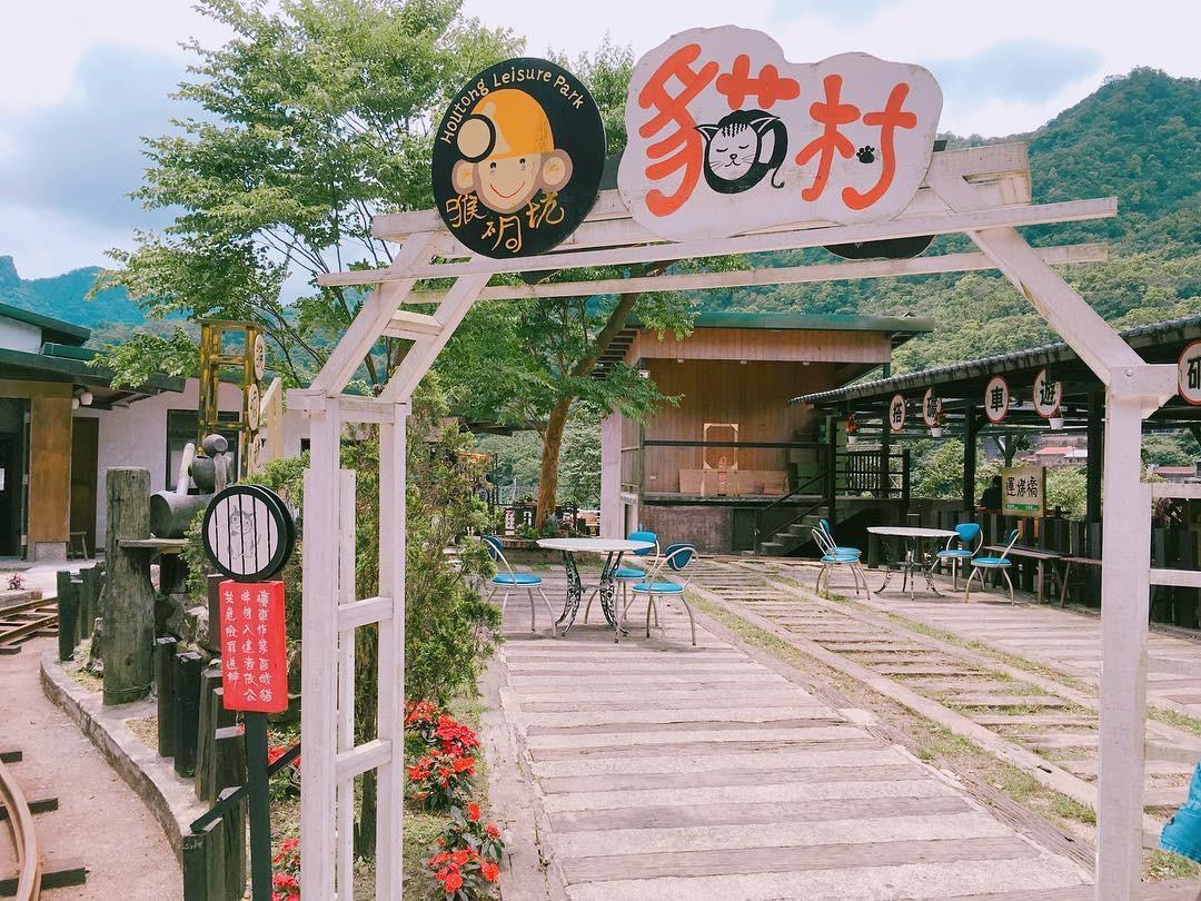 撸猫胜地台湾有一个猫村叫猴峒