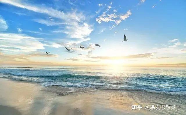 厌倦随大流跟风者 所见都是表象 知乎