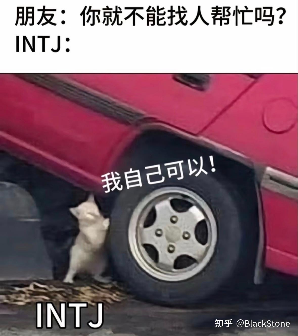 INTJ梗图（无水印） - 知乎