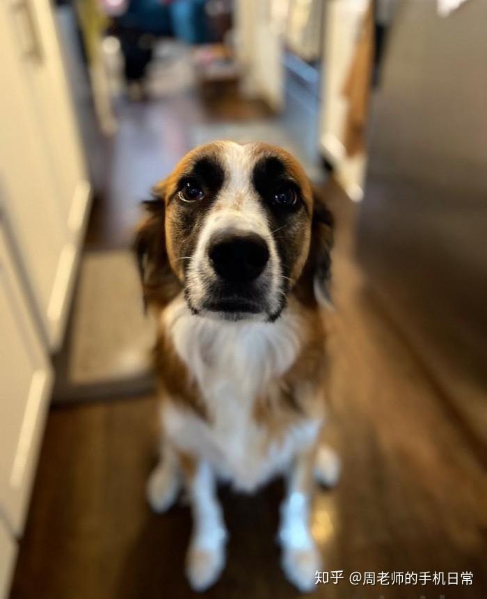 收購iPhone11ProMax