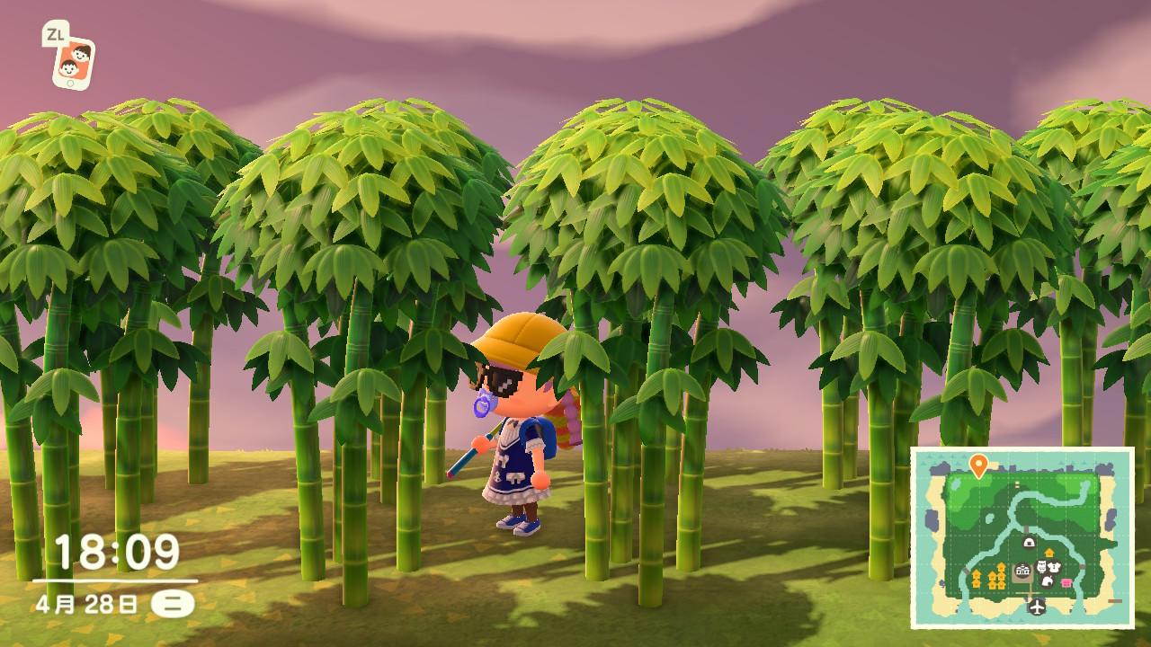 集合啦动物森友会竹子种植与系列家具收集心得攻略