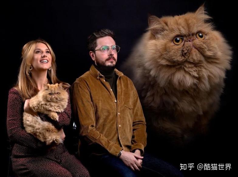 猫和人合影视频 v2-d6b4a71c2d229386dc597bce53c89876_r.jpg