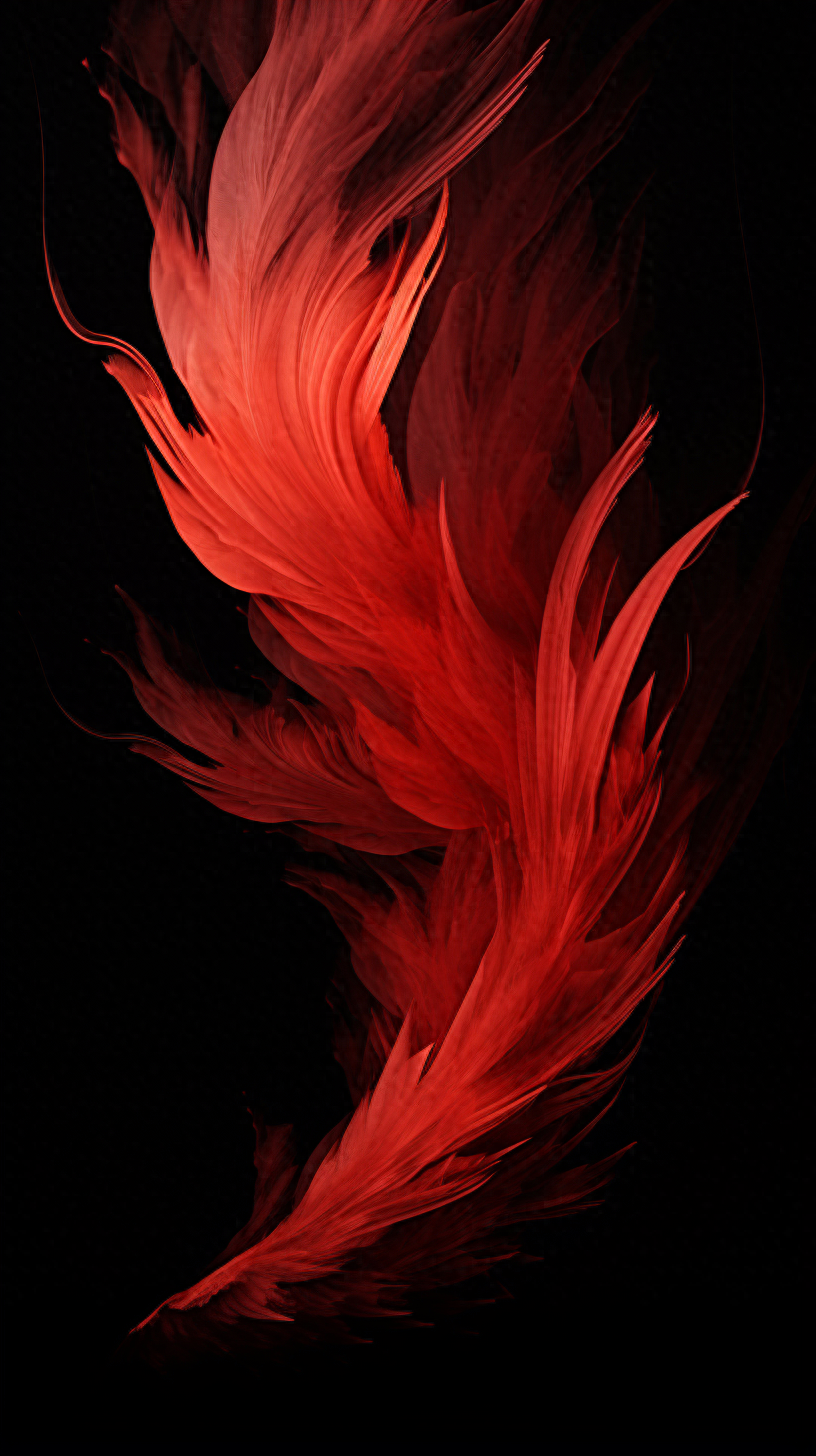 羽毛壁纸,每个人心里,都有旁人无法感受的难处