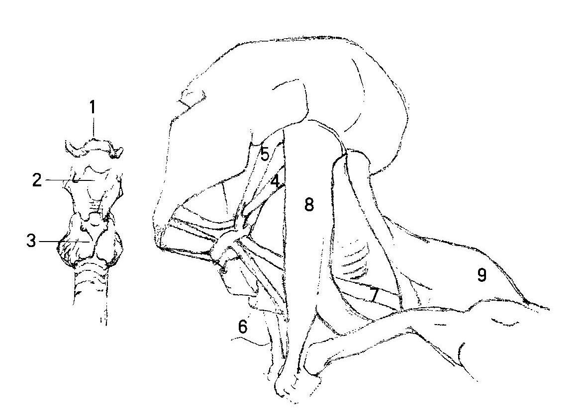 赛博朋克艺术视觉如何画义肢