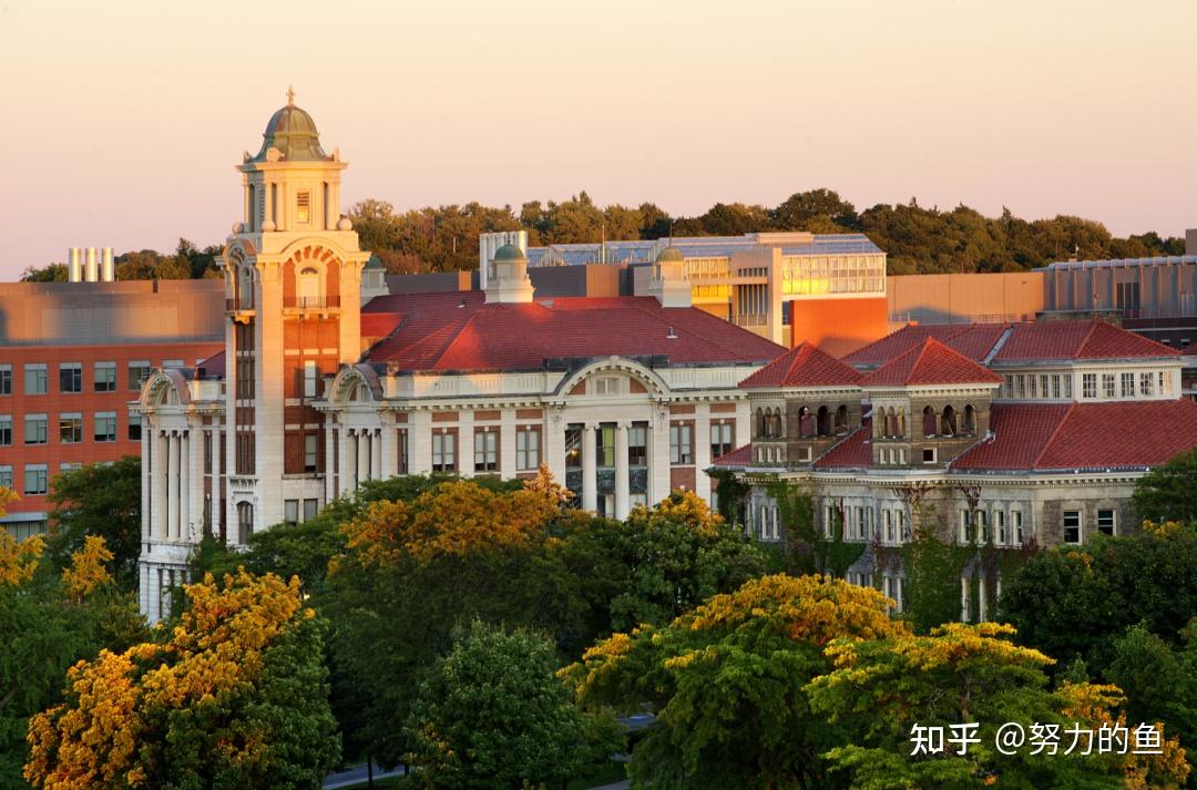 syracuse university