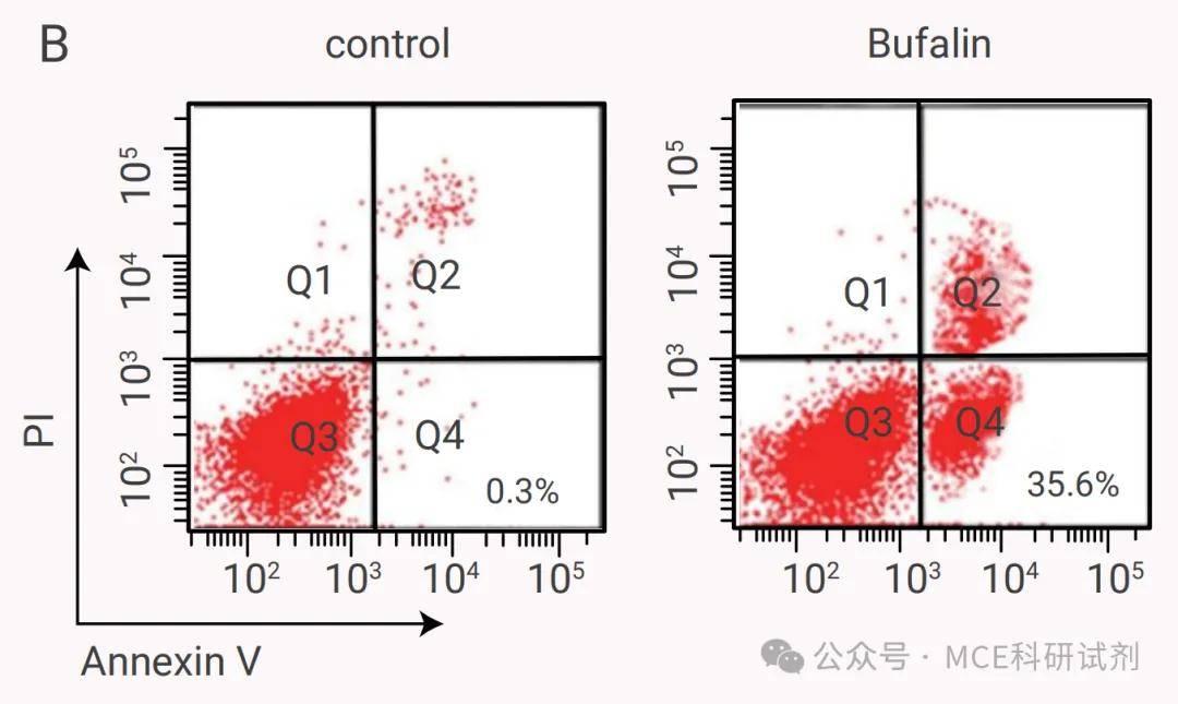 细胞凋亡检测方法有哪些？常用的细胞凋亡检测实验步骤 | MCE - 知乎
