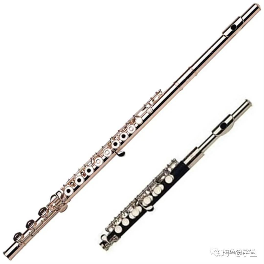 薩克斯(saxophone)左:單簧管 右:薩克斯雙簧片:雙簧管(oboe),大管