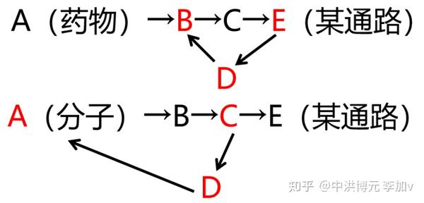 反馈回路（feedback loop）是国自然项目中的一大亮点 - 知乎