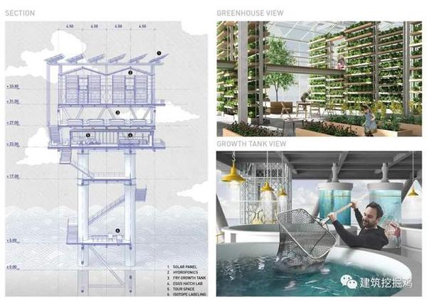 精选建筑作品｜海上平台改造：改造废弃的海洋结构以促进可持续的海洋生态系统 - 知乎