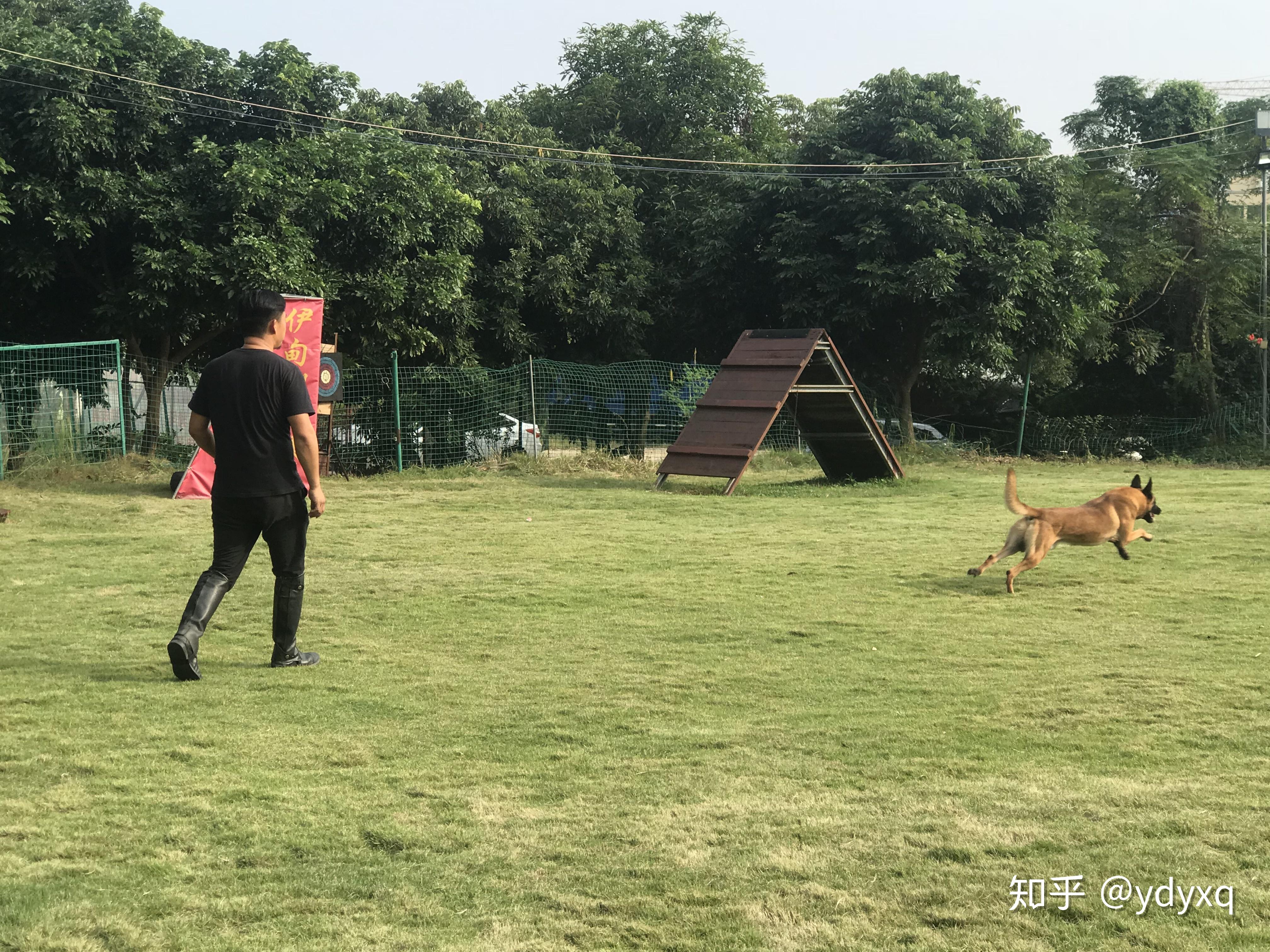 中山伊甸园训犬基地专业训狗训犬的场所