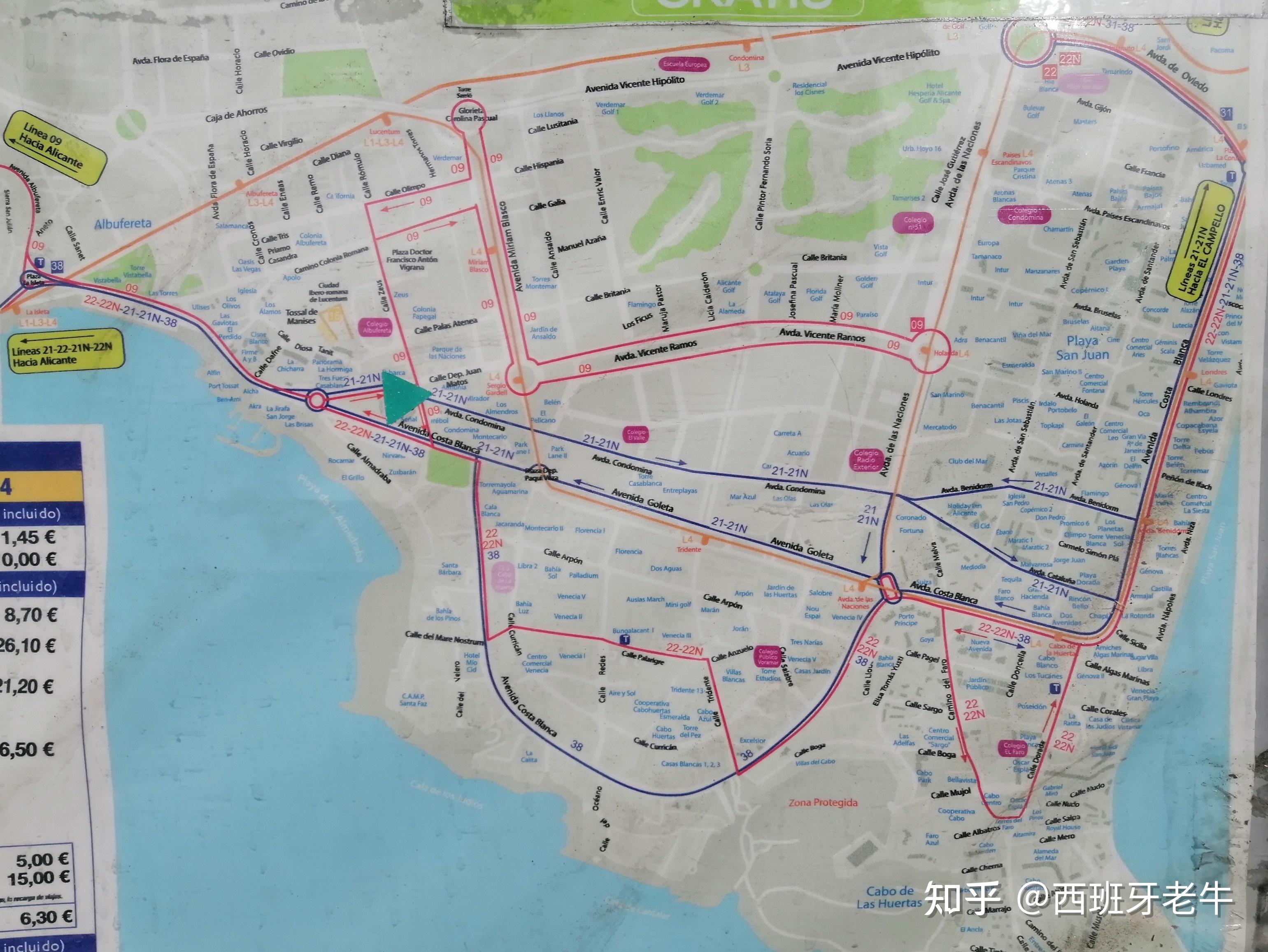 阿利坎特学校地图