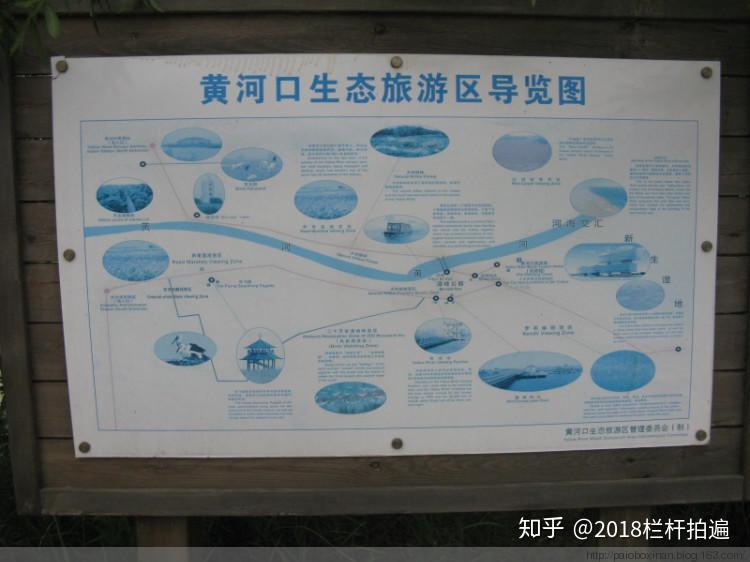黄河口生态旅游区攻略图片