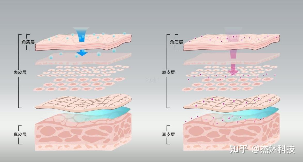 揭秘皮肤暗黄黑的元凶从源头解决美人黑问题让美白有方向