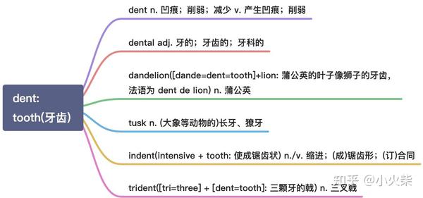 以 D 开头的 33 组常用词根的思维导图 - 知乎