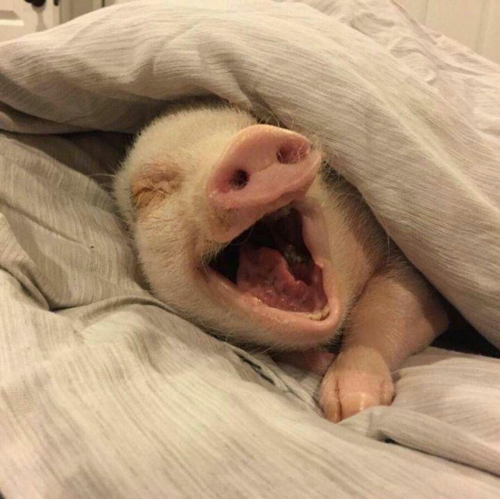 kindle怎么下载免费书?