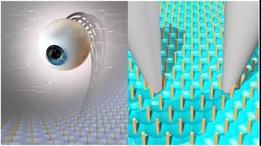 仿生眼领域获重大突破,人造眼不再科幻! - 知乎