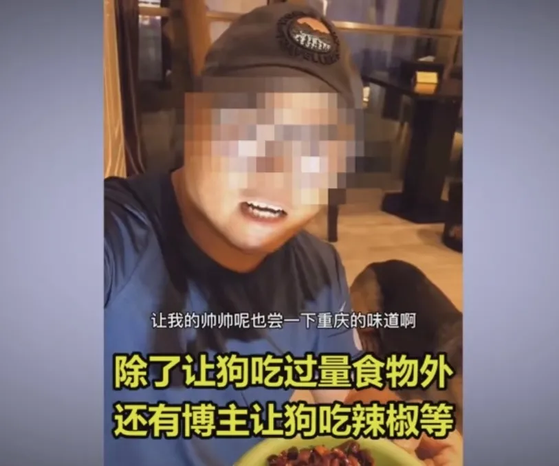 狗狗被逼当大胃王替主人捞钱虽然我不是人但你是真的狗