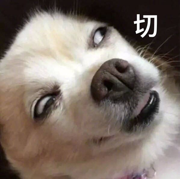 狗鱼图片文案沙雕,狗鱼图片文案沙雕搞笑