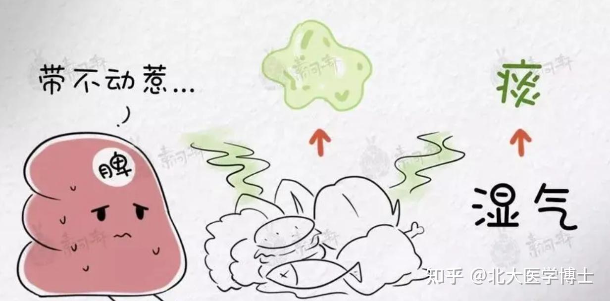 痰在哪,病在哪!中药煮一碗,痛风从痰湿论治,化全身筋骨之痰, - 知乎