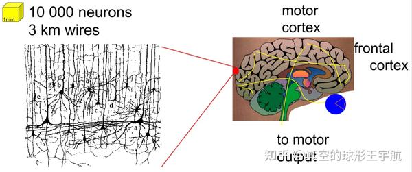 Neuronal Dynamics神经动力学笔记：01神经元的简单模型 - 知乎