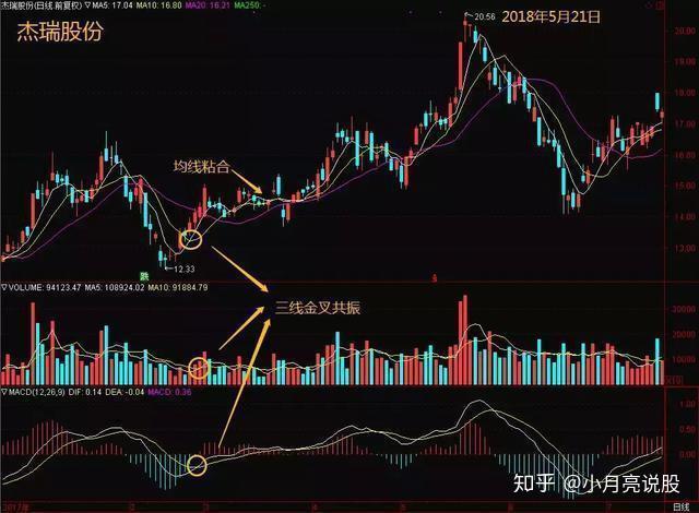 及其稍长及是什么意思 v2-d760fbc9ad97a62be267989babcb9d62_r.jpg