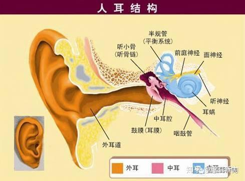形成内淋巴液的回动和前庭感受器的刺激,倒流至耳蜗或者