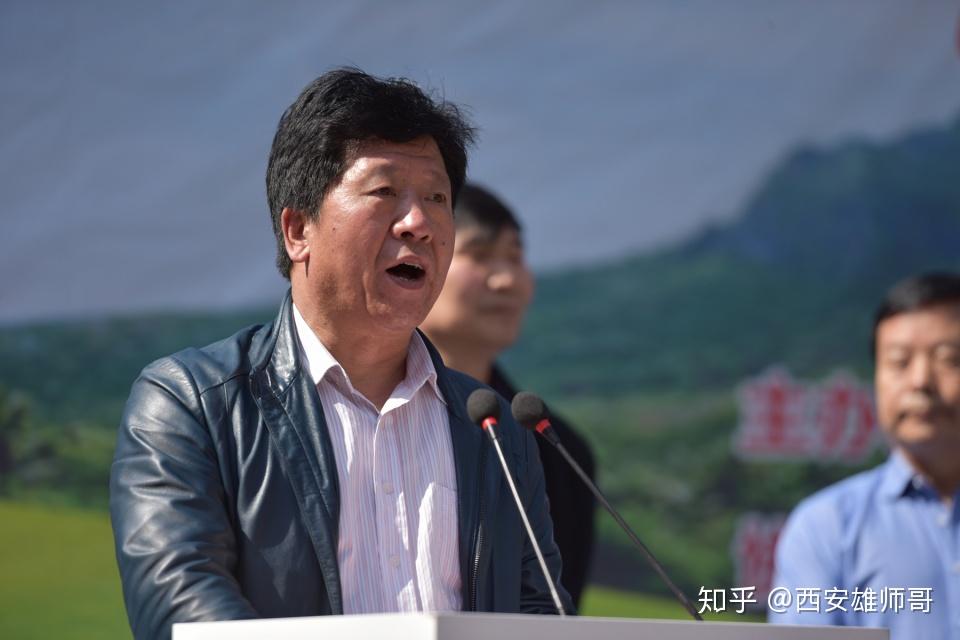 文化名人王安泉先生介绍千年玉兰王的历史文化周至县委常委,宣传部长