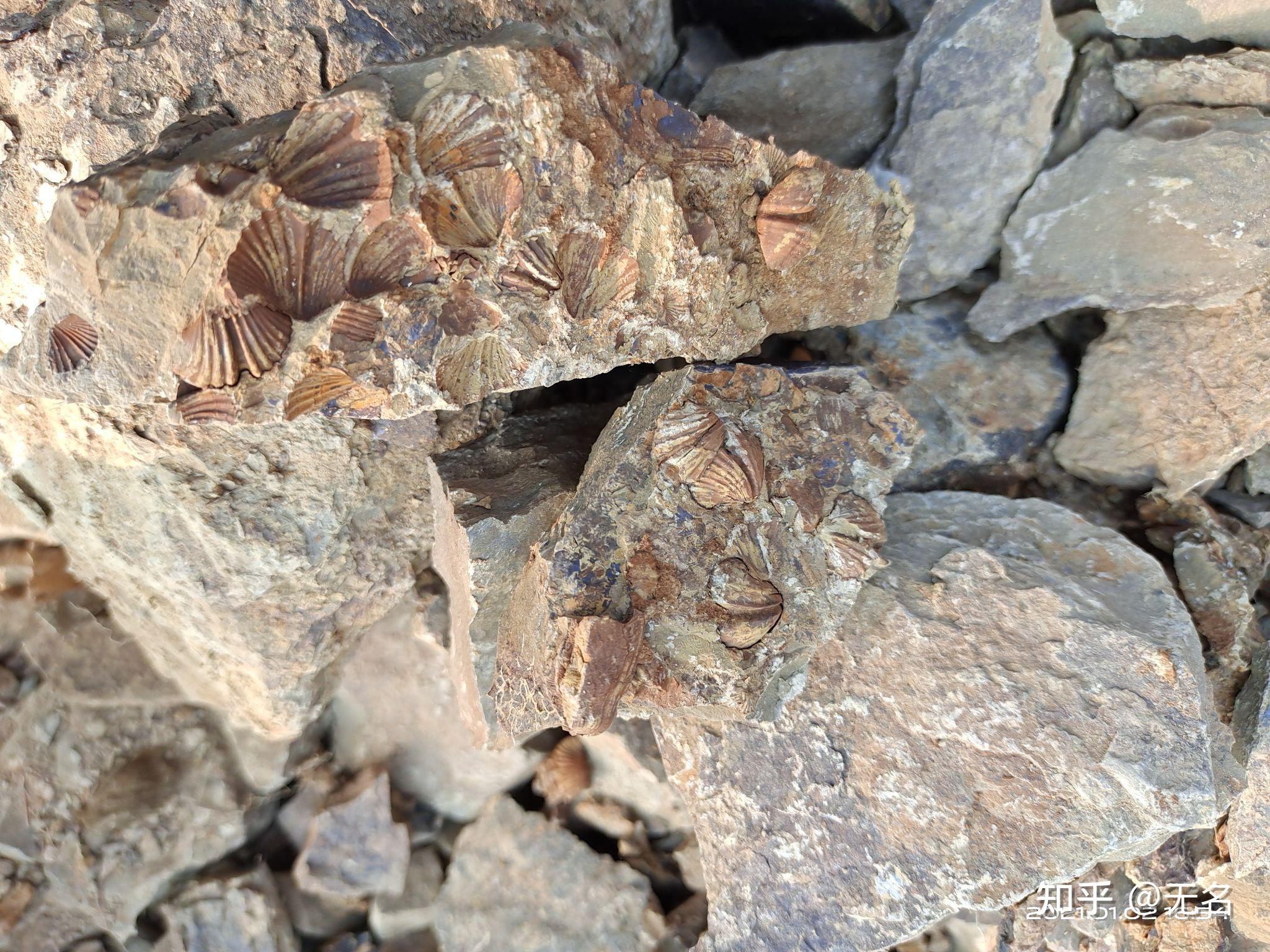 中国科学院的考研再次证实了原曾先生关于地球原本只是一滴水的文章