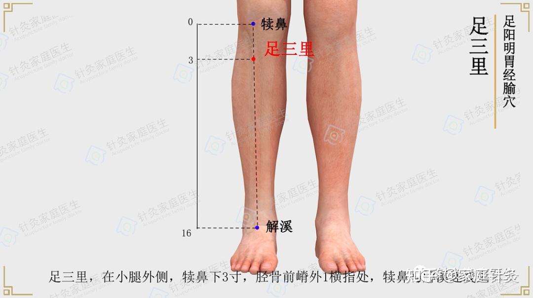 新手必看！初学艾灸推荐三种艾灸手法和三个保健穴位！ - 知乎