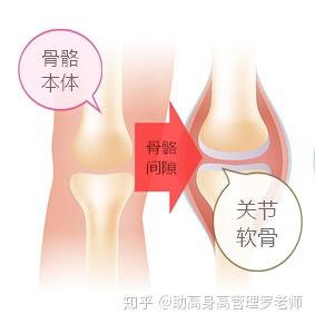 骨骺线闭合了 还有办法改变自己的身高吗 知乎