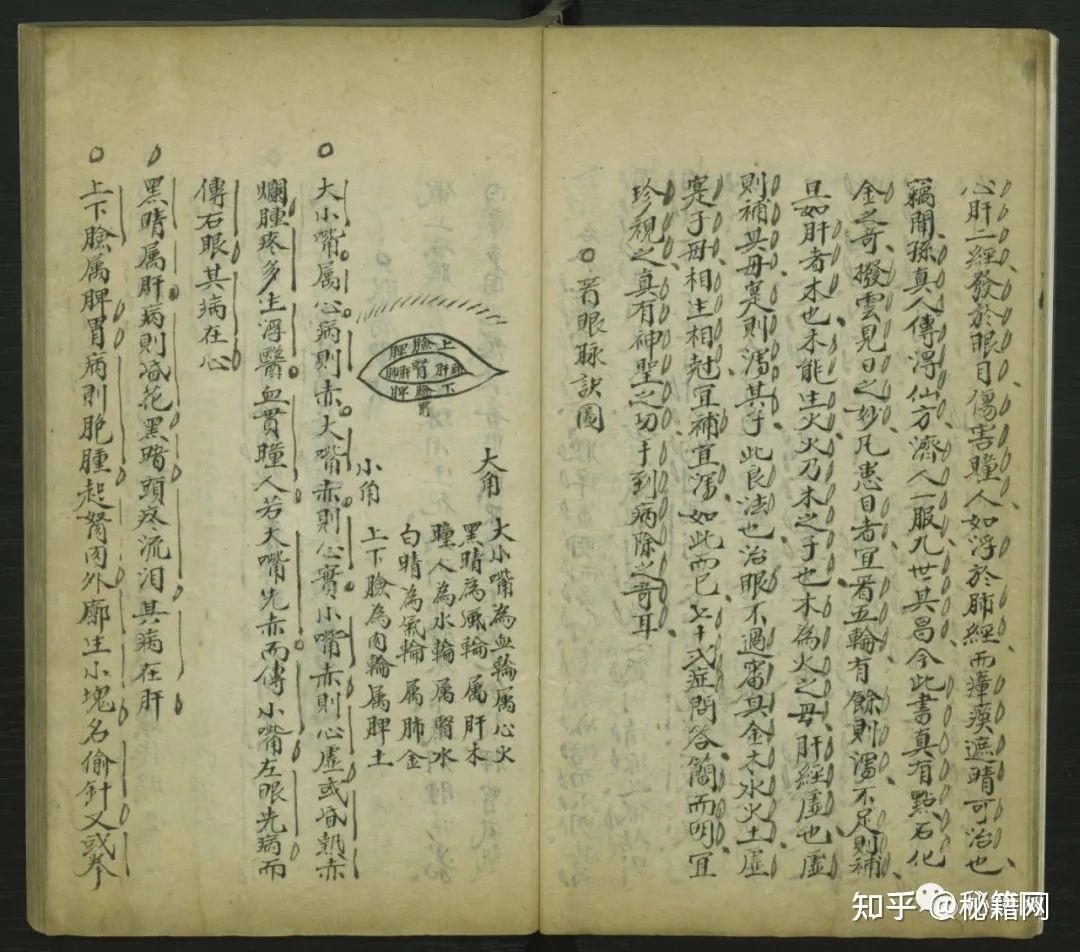 《异授眼科》 - 知乎