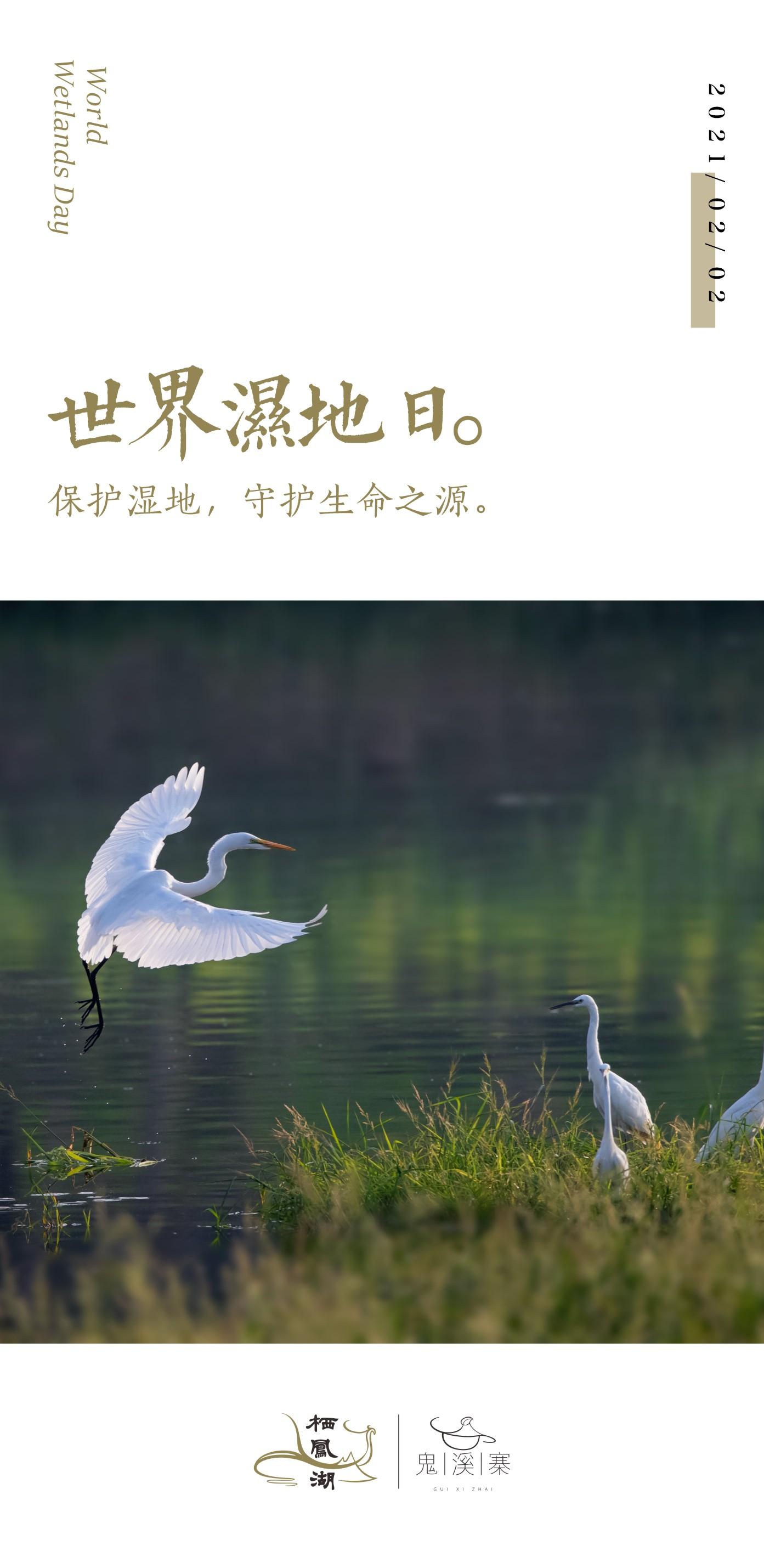 世界湿地日保护湿地守护生命之源