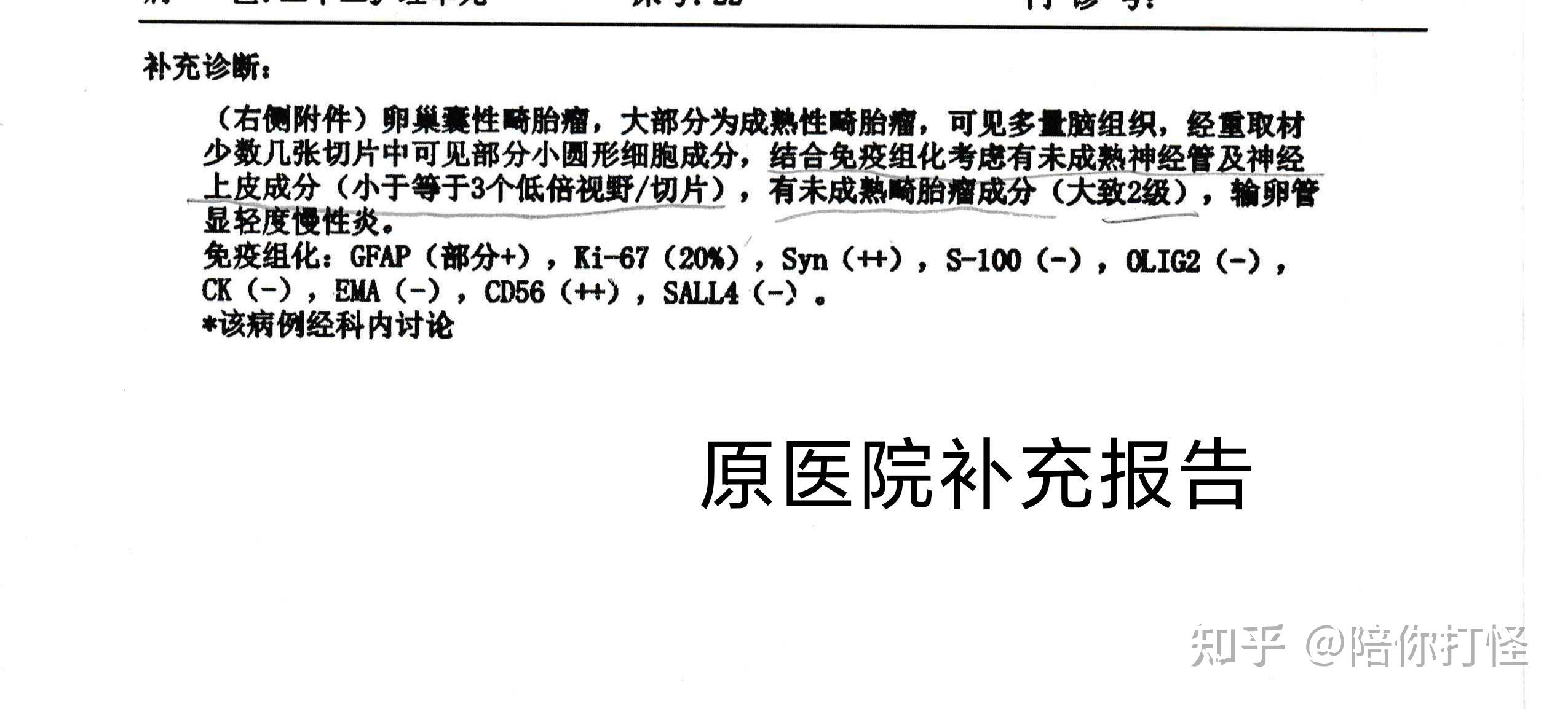 【红房子病理25】又一份翻盘的畸胎瘤