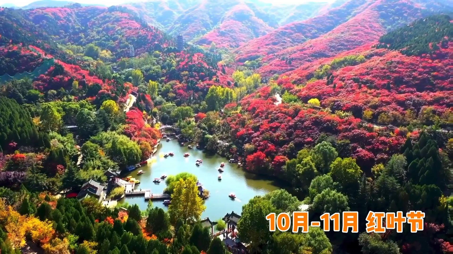 光雾山赏秋最全指南！带你领略“中国红叶第一山”的红叶盛宴 - 知乎