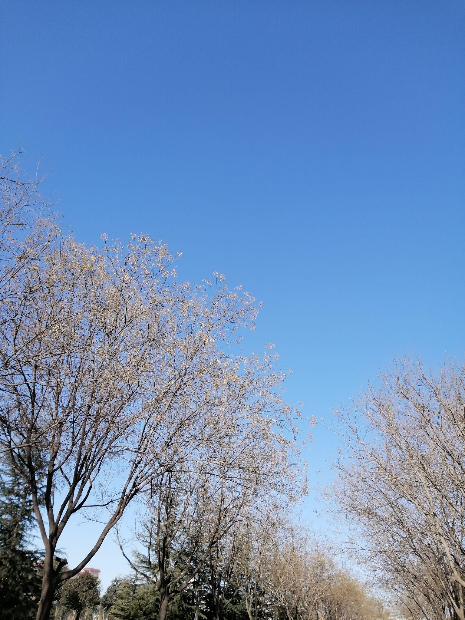 大家可以分享给我发几张自己拍的天空的照片吗?