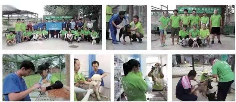 世界兽医日｜CRC狂犬病防治项目5周年在京启动