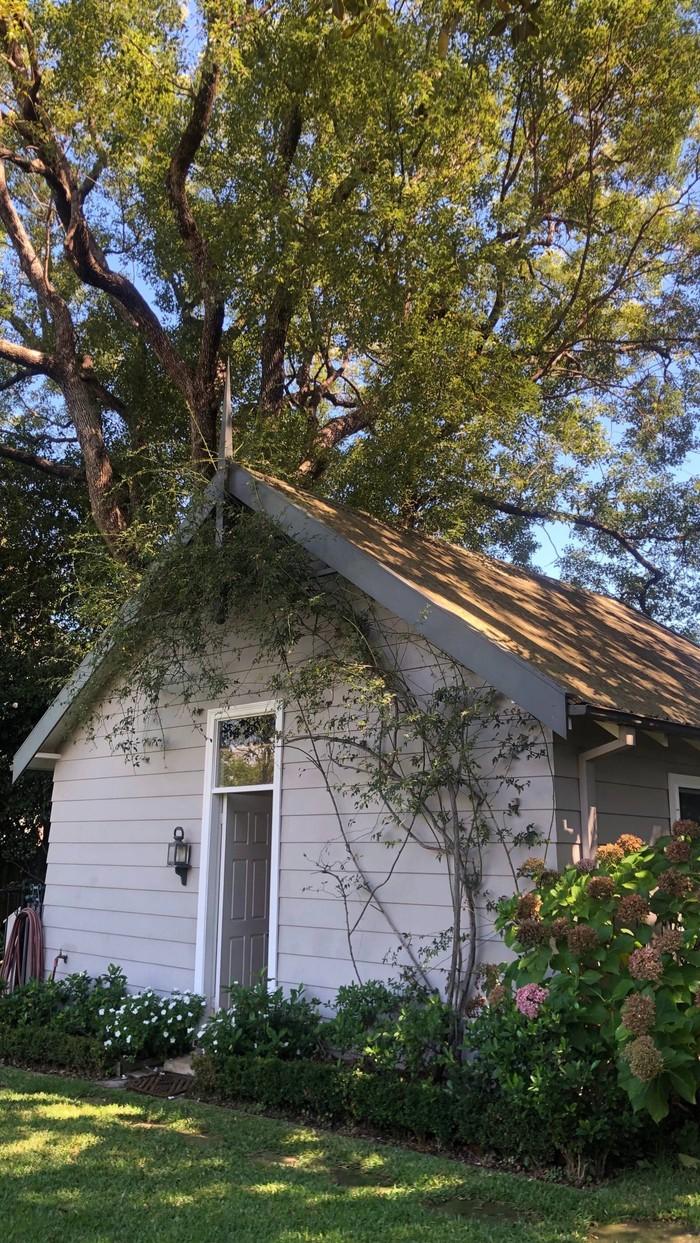 极富美感的绿色系壁纸(无水印)(绿色壁纸唯美可爱)