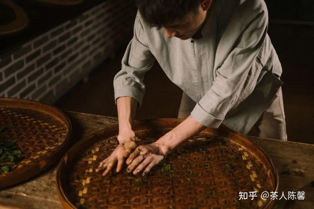 机械揉捻将茶叶放进揉捻机中,挤压研磨定型,在揉捻过程中要根据叶片